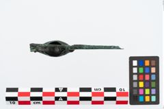 Foto von Bronzekahnfibel (NHMW-PRAE-026363)